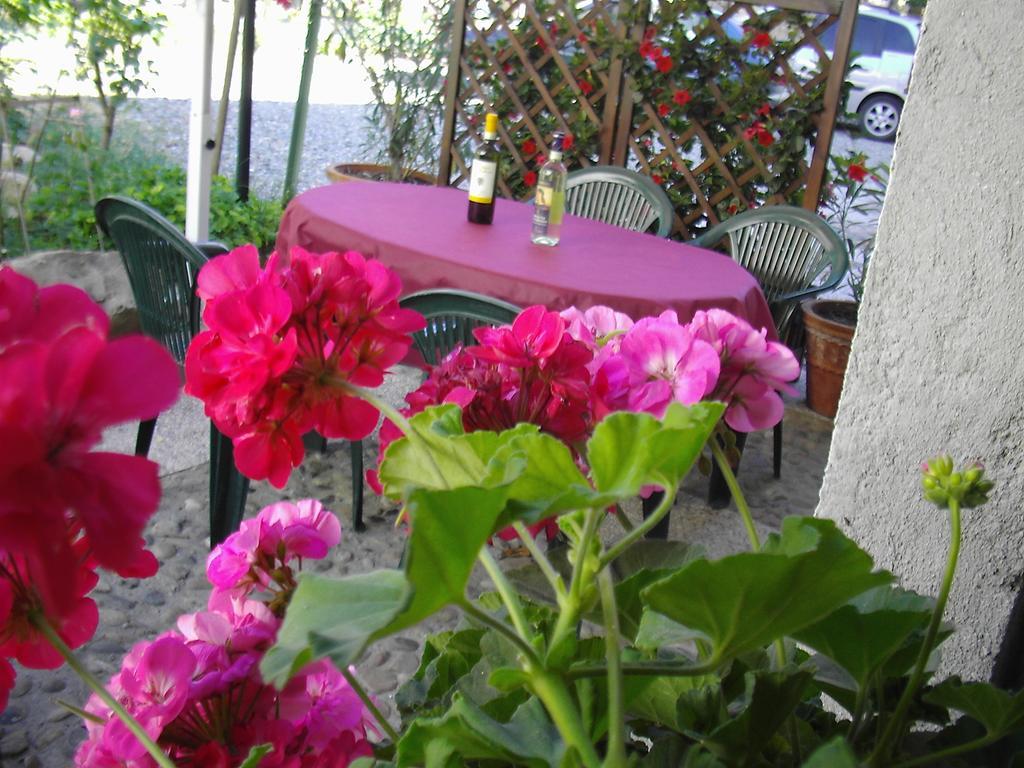 La Chicca B&B Cassine Dış mekan fotoğraf
